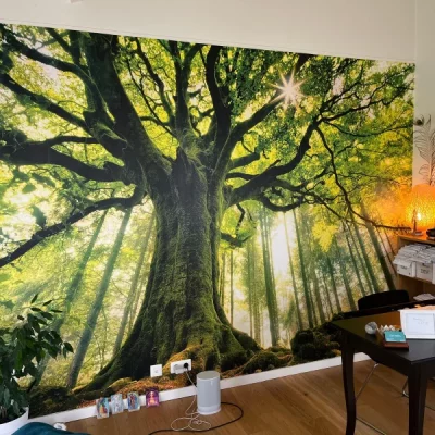 soin-energetique-pessac soin énergétique Pessac